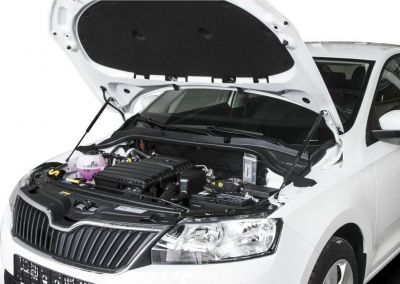 RIVAL Амортизаторы капота Шкода Рапид 2015- (A.ST.5104.1)