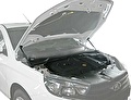 RIVAL RIVAL A.ST.6007.1 Амортизаторы капота RIVAL (2 шт.) Lada Vesta (2015-09.2017) (A.ST.6007.1) RIVAL RIVAL A.ST.6007.1 Амортизаторы капота RIVAL (2 шт.) Lada Vesta (2015-09.2017) (A.ST.6007.1)