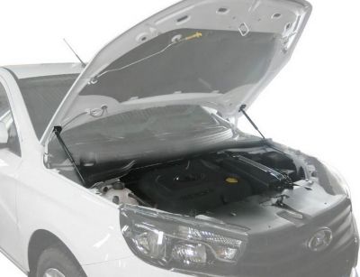RIVAL RIVAL A.ST.6007.1 Амортизаторы капота RIVAL (2 шт.) Lada Vesta (2015-09.2017) (A.ST.6007.1)
