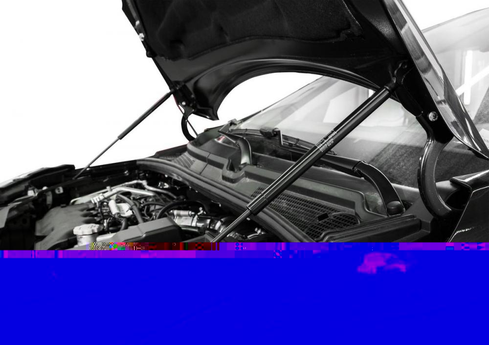 RIVAL RIVAL A.ST.6008.1 Амортизаторы капота RIVAL (2 шт.) Lada X-Ray 2016- (A.ST.6008.1)