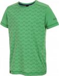 Футболка для активного отдыха Salewa 2016 PUEZ DRY K S/S TEE assenzio/5980 (EUR:164)