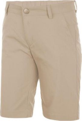 Шорты для активного отдыха Salewa 2017 FANES DRY K SHORTS pale khaki (Рост:116)