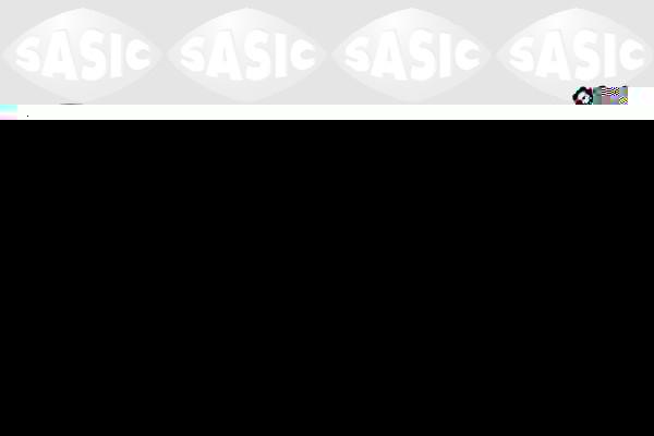 Sasic SWH0439 шланг радиатора на PEUGEOT 306 кабрио (7D, N3, N5)