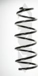 Spidan 49549 пружина ходовой части на VW GOLF IV (1J1)