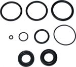 Набор резиновых уплотнений DT SWISS_Seal Kit DASI XRC/XC Air piston seal kit_FWKXRC0XXXX040051S
