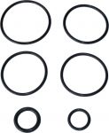 Набор резиновых уплотнений DT SWISS_SealS Kit Single Shot O32_FWKXXX0XXXX046093S