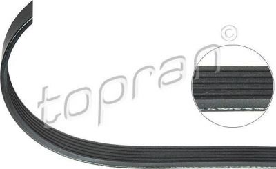 Topran 206 252 поликлиновой ремень на FORD C-MAX (DM2)