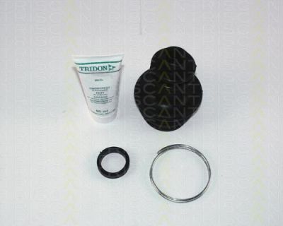 TRISCAN 8540 25911 комплект пылника, приводной вал на RENAULT LAGUNA I (B56_, 556_)