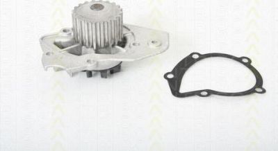 TRISCAN 8600 10409 водяной насос на PEUGEOT 309 II (3C, 3A)