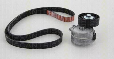TRISCAN 8642 10013 поликлиновой ременный комплект на PEUGEOT EXPERT Tepee (VF3V_)