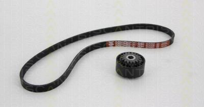 TRISCAN 8642 25005 поликлиновой ременный комплект на RENAULT TWINGO I (C06_)