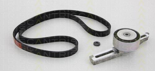 TRISCAN 8642 28003 поликлиновой ременный комплект на PEUGEOT 306 (7B, N3, N5)