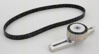 TRISCAN 8642 28006 поликлиновой ременный комплект на PEUGEOT 306 (7B, N3, N5)