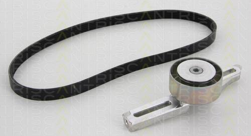 TRISCAN 8642 28006 поликлиновой ременный комплект на PEUGEOT 306 (7B, N3, N5)