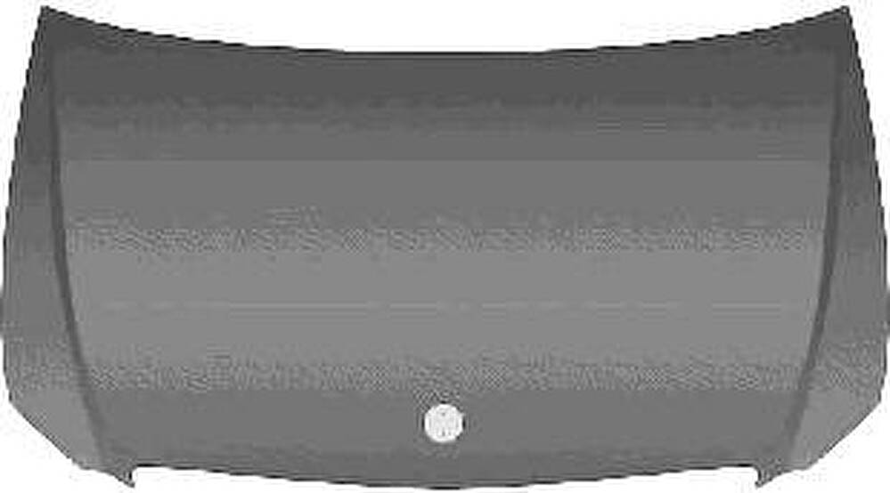 Van Wezel 3080660 капот двигателя на MERCEDES-BENZ VITO автобус (W639)