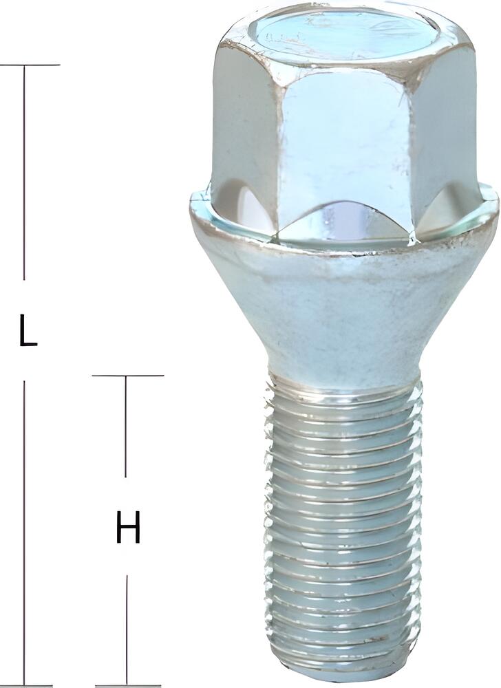 Bimecc Болт M12x1,5 (53,5/ 28) hex17 конус цинк (ИТАЛИЯ) C17A28 BC 00008705