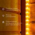 NEON-NIGHT 121-326-20 Дюралайт LED фиксинг (2W), 24 LED/м, теплый белый, 20 м NEON-NIGHT 121-326-20 Дюралайт LED фиксинг (2W), 24 LED/м, теплый белый, 20 м