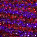 NEON-NIGHT 215-023 Гирлянда светодиодная Сеть 2х1,5м 288 LED КРАСНЫЙ/СИНИЙ черный ПВХ IP65 свечение с динамикой 230В контроллер в комплекте NEON-NIGHT 