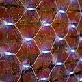 NEON-NIGHT 217-145 Гирлянда светодиодная Сеть 2x3м 432 LED БЕЛЫЙ белый каучук IP67 постоянное свечение 230В блок в комплекте NEON-NIGHT NEON-NIGHT 217-145 Гирлянда светодиодная Сеть 2x3м 432 LED БЕЛЫЙ белый каучук IP67 постоянное свечение 230В блок в комплекте NEON-NIGHT