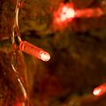 NEON-NIGHT 235-102 Гирлянда светодиодная Занавес 2x0,8м 160 LED КРАСНЫЙ прозрачный ПВХ IP65 постоянное свечение 230В блок в комплекте NEON-NIGHT