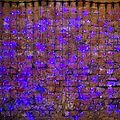 NEON-NIGHT 235-143 Гирлянда светодиодная Занавес 2х3м 760 LED СИНИЙ черный ПВХ IP65 постоянное свечение 230В нужен блок 303-500 NEON-NIGHT