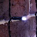 NEON-NIGHT 235-165 Гирлянда светодиодная Занавес 2х6м 768 LED БЕЛЫЙ черный ПВХ IP65 постоянное свечение 230В нужен блок 303-500 NEON-NIGHT