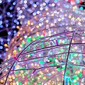 NEON-NIGHT 245-409 Гирлянда светодиодная Нить 10м 100 LED RGB прозрачный ПВХ IP65 свечение с динамикой 230В соединяется NEON-NIGHT нужен контроллер 245-908
