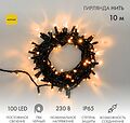 NEON-NIGHT 305-171 Гирлянда светодиодная Нить 10м 100 LED ЖЕЛТЫЙ черный ПВХ IP65 постоянное свечение 230В соединяется нужен блок 303-500 NEON-NIGHT NEON-NIGHT 305-171 Гирлянда светодиодная Нить 10м 100 LED ЖЕЛТЫЙ черный ПВХ IP65 постоянное свечение 230В соединяется нужен блок 303-500 NEON-NIGHT