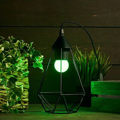 NEON-NIGHT 405-114 Лампа светодиодная, диаметр 45мм, E27, 5 LED, 2Вт, ЗЕЛЕНЫЙ, 230В NEON-NIGHT