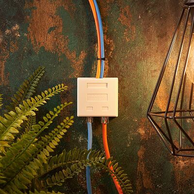 REXANT 03-0120 Розетка комбинированная внешняя, UTP RJ-45(8P8C) + RJ-11(6P-4C) REXANT 