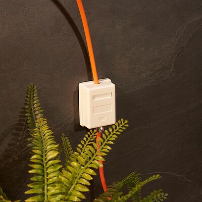 REXANT 03-0121 Рoзетка компьютерная внешняя 1-порт, UTP RJ-45 (8P8C), CAT 5e REXANT