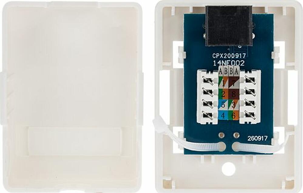 REXANT 03-0132 Розетка компьютерная внешняя, 1-порт RJ-45 (8P8C), UTP CAT 6 REXANT