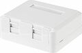 REXANT 03-0251 Корпус настенной розетки под 2 модуля Keystone Jack белый REXANT 03-0251 Корпус настенной розетки под 2 модуля Keystone Jack белый
