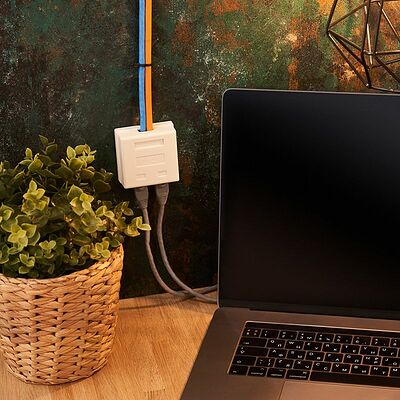 REXANT 06-0105-C Розетка сетевая LAN, на стену, 2 гнездо 8Р8С (RJ-45), CAT 5е REXANT 