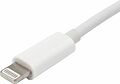 REXANT 18-4152 Переходник Lightning (Male) - HDMI (Female) REXANT REXANT 18-4152 Переходник Lightning (Male) - HDMI (Female) REXANT