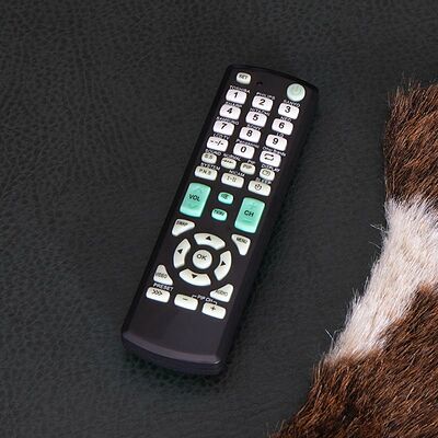REXANT 38-0015 Пульт универсальный для телевизора RX-E877 REXANT
