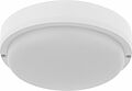 REXANT 607-285 Светильник ЖКХ LED пылевлагозащищенный круг IP65 30Вт 2850Лм 6500K REXANT