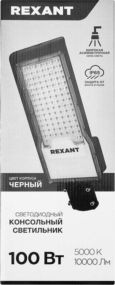 REXANT 607-303 Светильник светодиодный консольный ДКУ 02 100Вт 5000К для дорог IP65 10000Лм черный REXANT