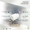 SECURIC SEC-HV-401W Умная Wi-Fi розетка SECURIC