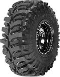 Accelera Badak X-Treme