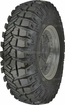 Acustica Challenger 37x12,5x17 124K