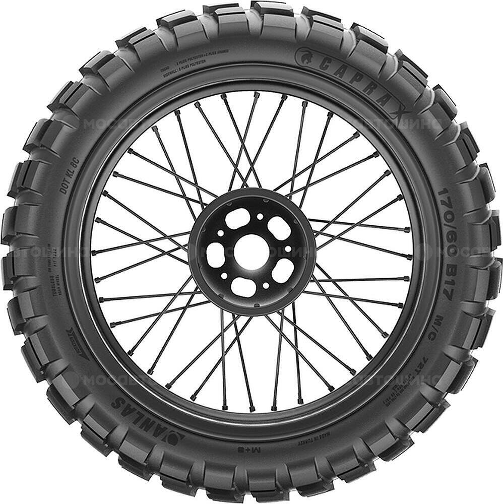 Vista lateral  Anlas Capra-X 170/60 B17 72T (Задняя)