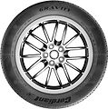 Cordiant Gravity 215/55 R17 98H 