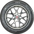 Delinte AW5