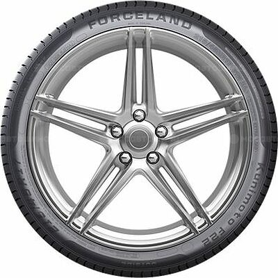 ForceLand Vitality F22 215/55 R17 98W XL