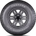 Fortune FSR-308 Fortune FSR-308