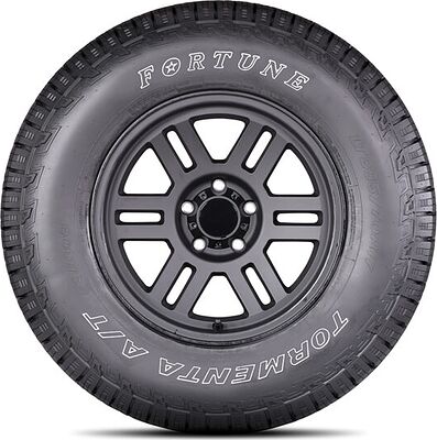 Fortune FSR-308 245/75 R16 111T 
