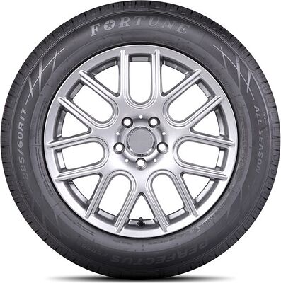Fortune FSR-602 175/65 R14 82T