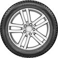 Fortune Polaro Snow Fortune Polaro Snow