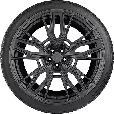 Gripmax SureGrip Pro Winter 255/40 R21 102V XL
